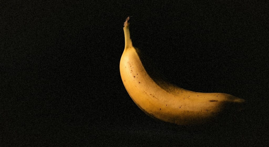 A single ripe Primera Gros Michel banana, lit against a volcanic dark ground