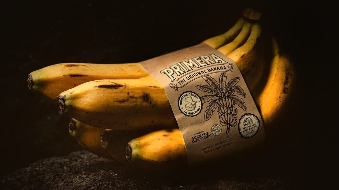 A retail cluster of Primera Gros Michel bananas wrapped in the Primera kraft-paper label, resting on volcanic rock